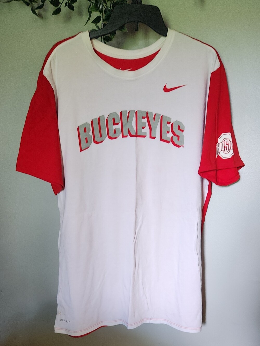 Nike Buckeyes Cotton Tee